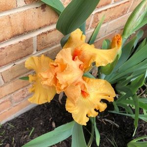 Meet your Posher, Elena